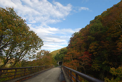 青空と紅葉がきれいでした。
