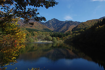紅葉がきれいになりました。