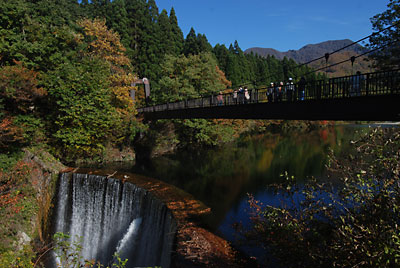 毎日、沢山の観光バスが来ています。