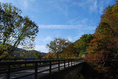 青空に紅葉が映えます。