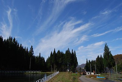 今日は、青空がきれいです。