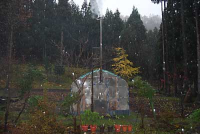 朝から雪が降り出しました。