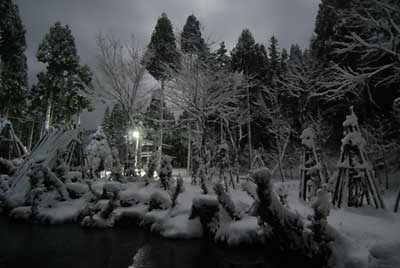 今夜は月夜です。