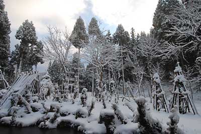 雪景色がきれいです。