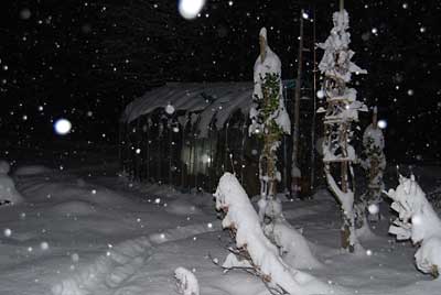 夜になって深々と雪が降ってきました。