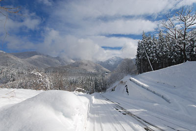 こちらもお昼前、日が射した時の一瞬の雪景色です。