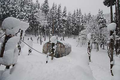 そろそろハウスの周りの雪掘りをしなければなりません。