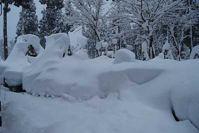 今シーズンも大雪になりそうです。