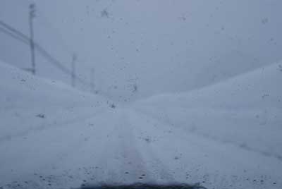 ちょっと車で道路に出たのですが…。