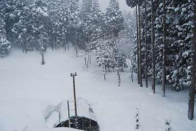 朝起きたらまた雪が降っていました。