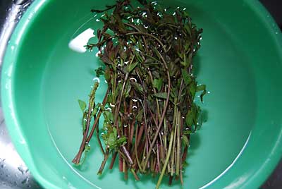 家族が大好きな山菜の「木の芽」（アケビの芽）です。