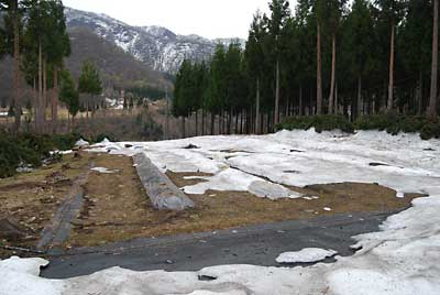 農園の畑の雪ももう少しで消えます。
