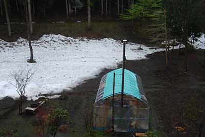 まだハウスの周りには雪が残っています。