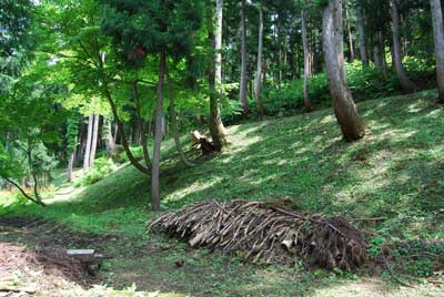 まだ、草が柔らかいので、ヒモの刃であっというまに終わってしまいました。
