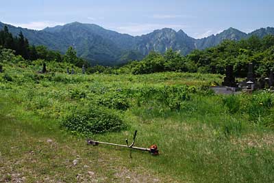 墓地の周りの草刈りをします。
