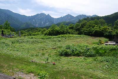今日は時間がないので、後ろの方を１／３ほど残して作業終了しました。