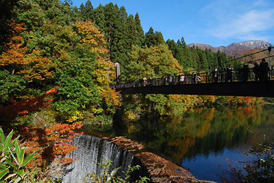 希望大橋の吊り橋には、紅葉を楽しむお客さんがいっぱいでした。