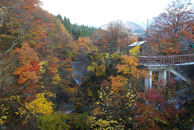 紅葉は、もう終わりですが残った紅葉がきれいでした。