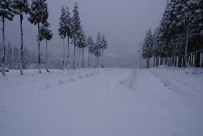 畑は雪で真っ白！