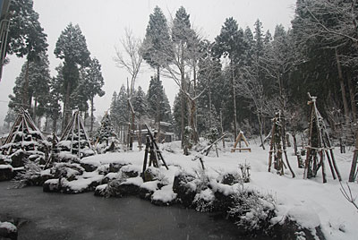マジに冬に戻ってしまったような気がします。