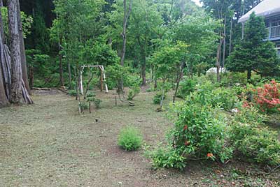 庭の草もスッキリしました。