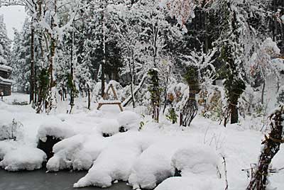 急場処置ということで荒縄で縛りました。