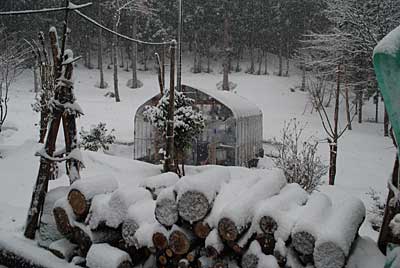 天気予報どおり雪になりました。