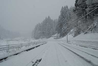 道路も真っ白になりました。