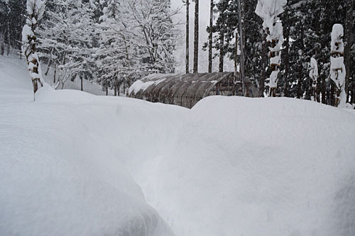 夕方になっても雪は止みませんでした。