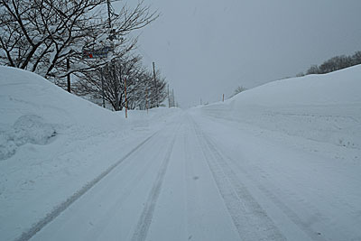 今日もまた雪。