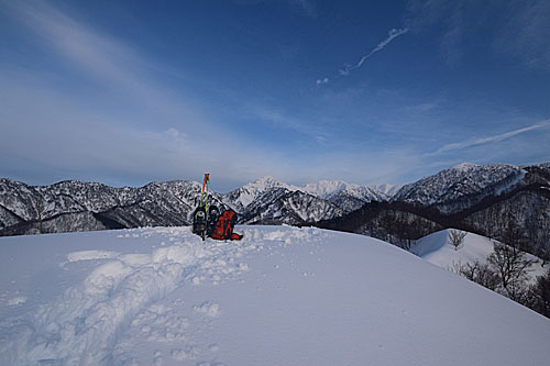 裏山にプチ登山に行って来ました。