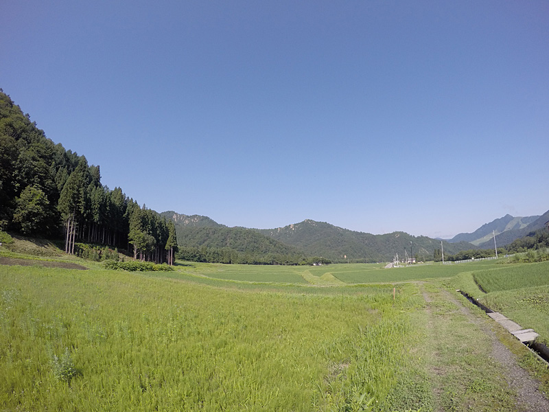 久しぶりの快晴、気持ち良い朝です。