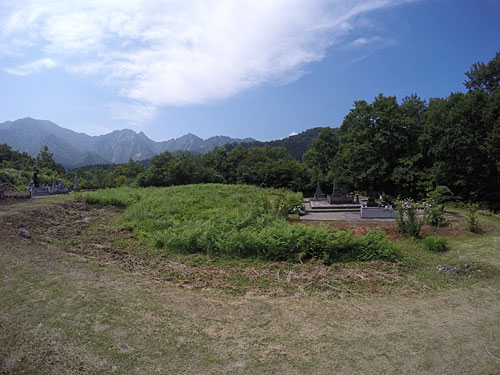 草刈り前。