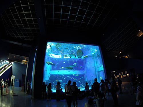 上越水族館