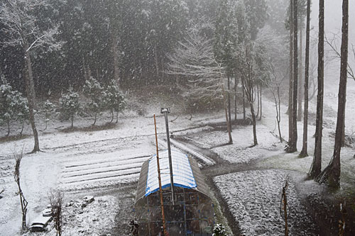 今日は雪。