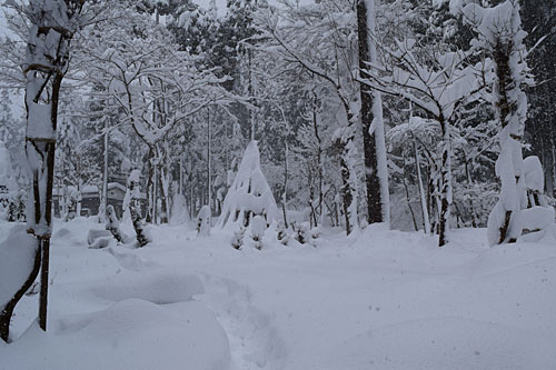 新たに雪が積もりました。