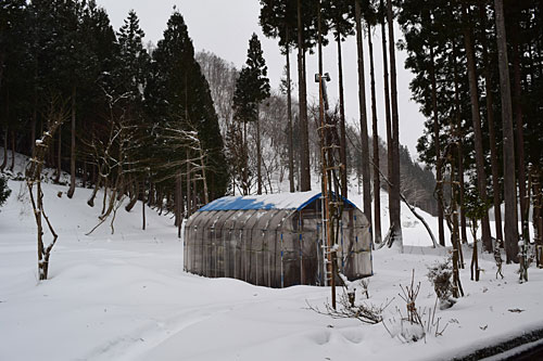 強風だけど雪は、あんまり積っていません。