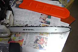 A`F\[̐n܂