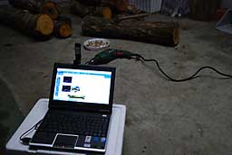 vJݒuƒ̗lqł