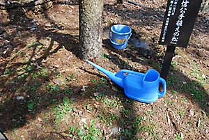 ００倍の溶液を７０リットル散布しました