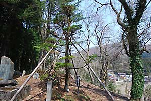 作業完了しました