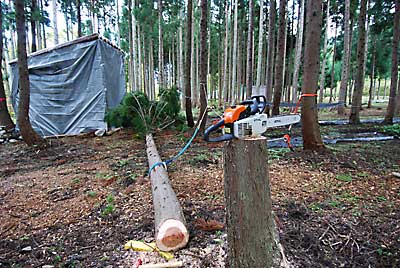 ぎりぎり、ユンボ小屋の前に無事倒れました。ホッ。