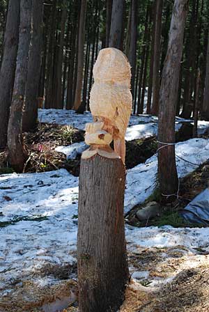 猩ƃtNEۂ݂܂ˁH