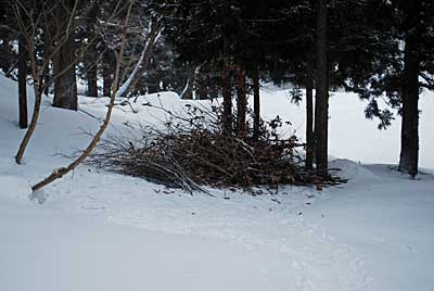 Еt}łB