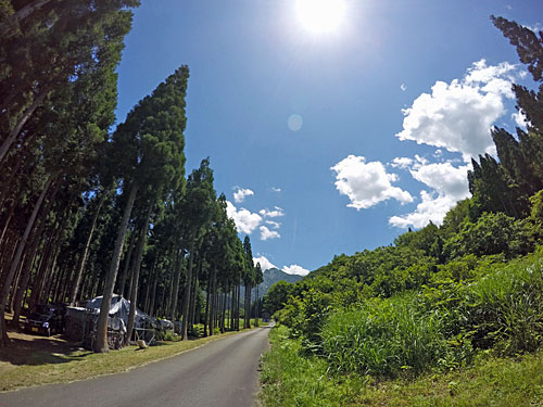 今日も朝からメチャ暑でした。