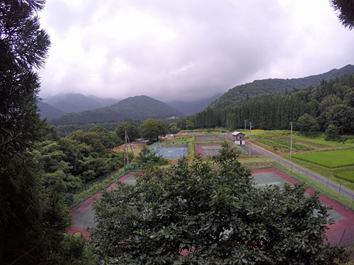 樹上からは大源太山は見えませんでした。