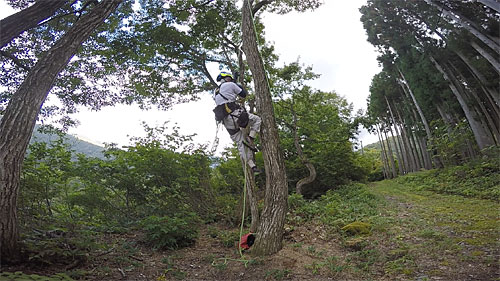 登攀の様子