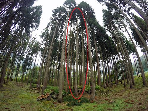 一気に約１４ｍの降下、気持ち良いです。