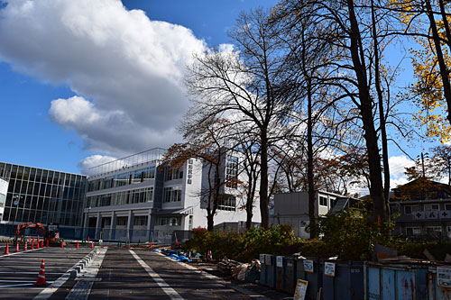 湯沢学園の枝落としと伐採