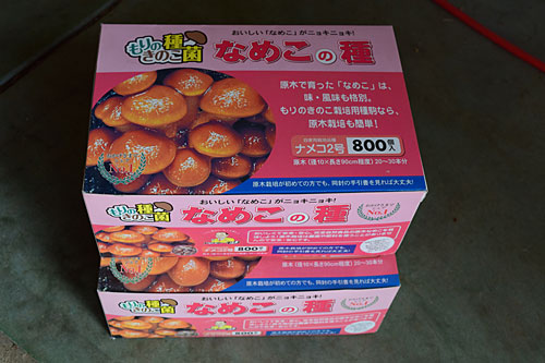 ナメコの種駒８００駒入り２箱。